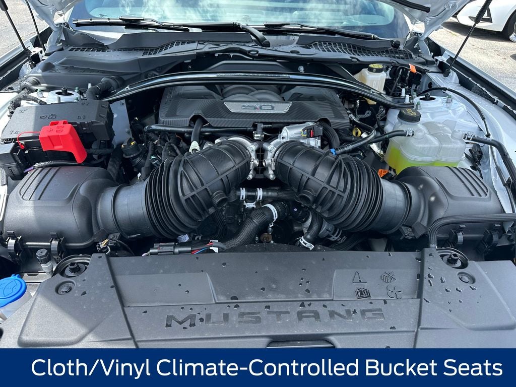 2025 Ford Mustang Dark Horse