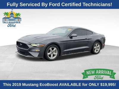 2019 Ford Mustang EcoBoost
