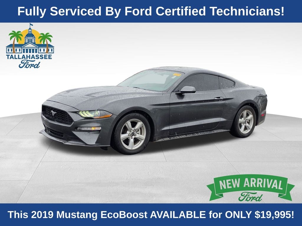 2019 Ford Mustang EcoBoost