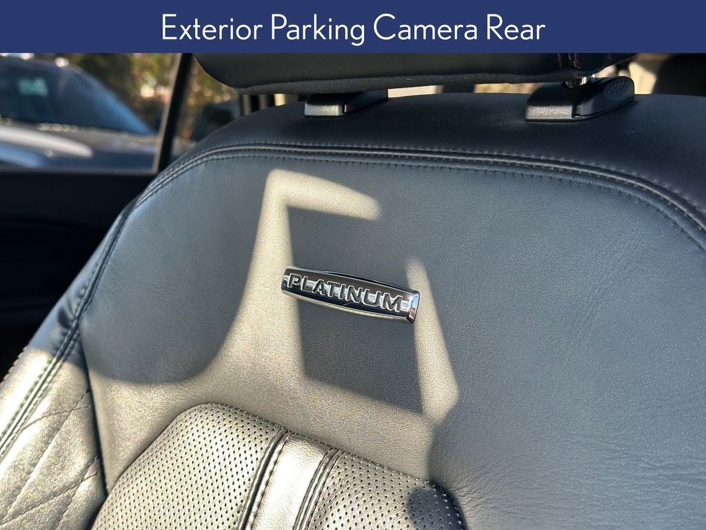 2020 Ford Expedition Max Platinum