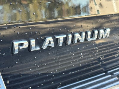 2020 Ford Expedition Max Platinum