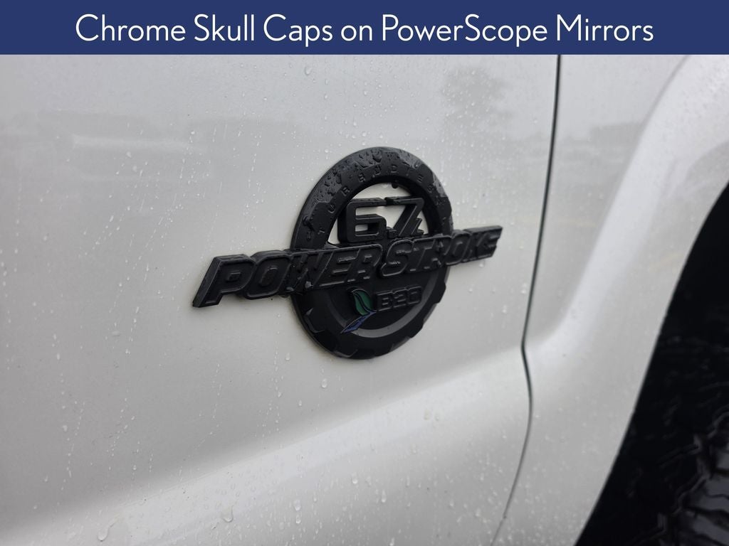 2015 Ford F-250SD Platinum