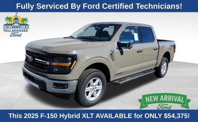 2025 Ford F-150 XLT