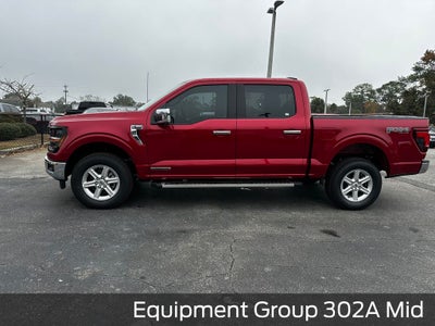 2025 Ford F-150 XLT