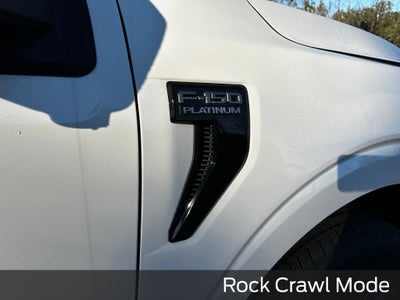 2025 Ford F-150 Platinum